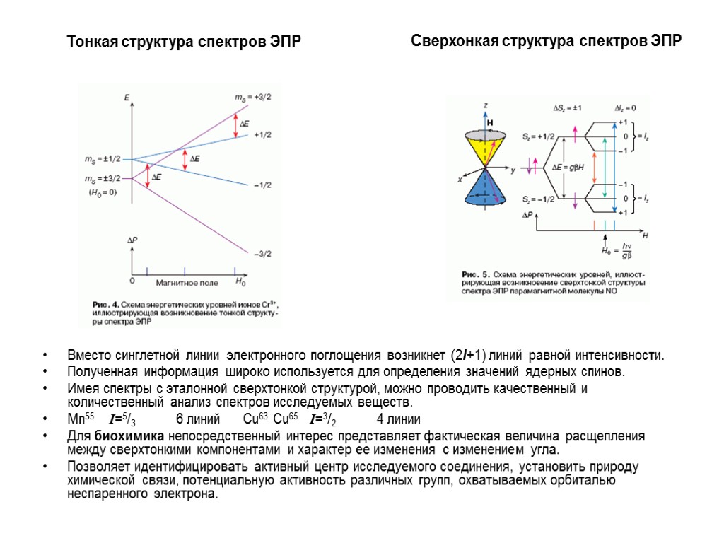 Тонкая структура спектров ЭПР Сверхонкая структура спектров ЭПР Вместо синглетной линии электронного поглощения возникнет